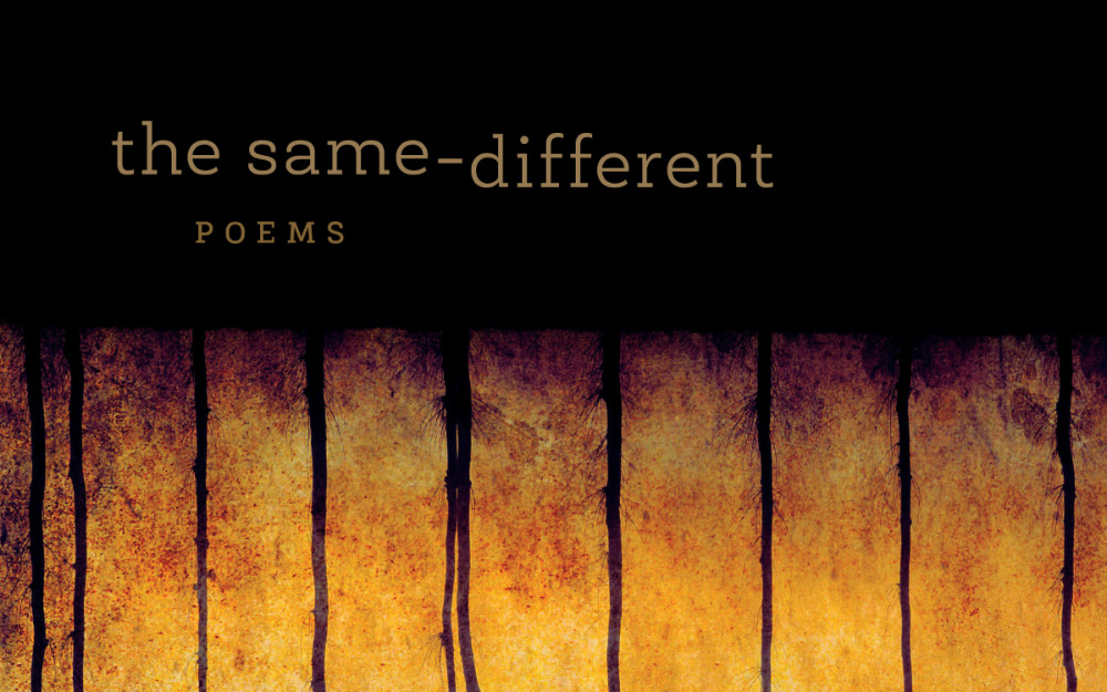 Image: Text "The Same Different Poems"