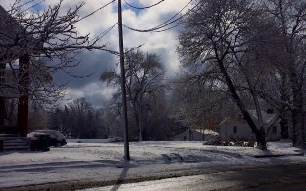 Image: A snowy view of a yard and trees.