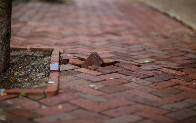 Image: A brick path with a single brick forced upward and out of line with the rest.