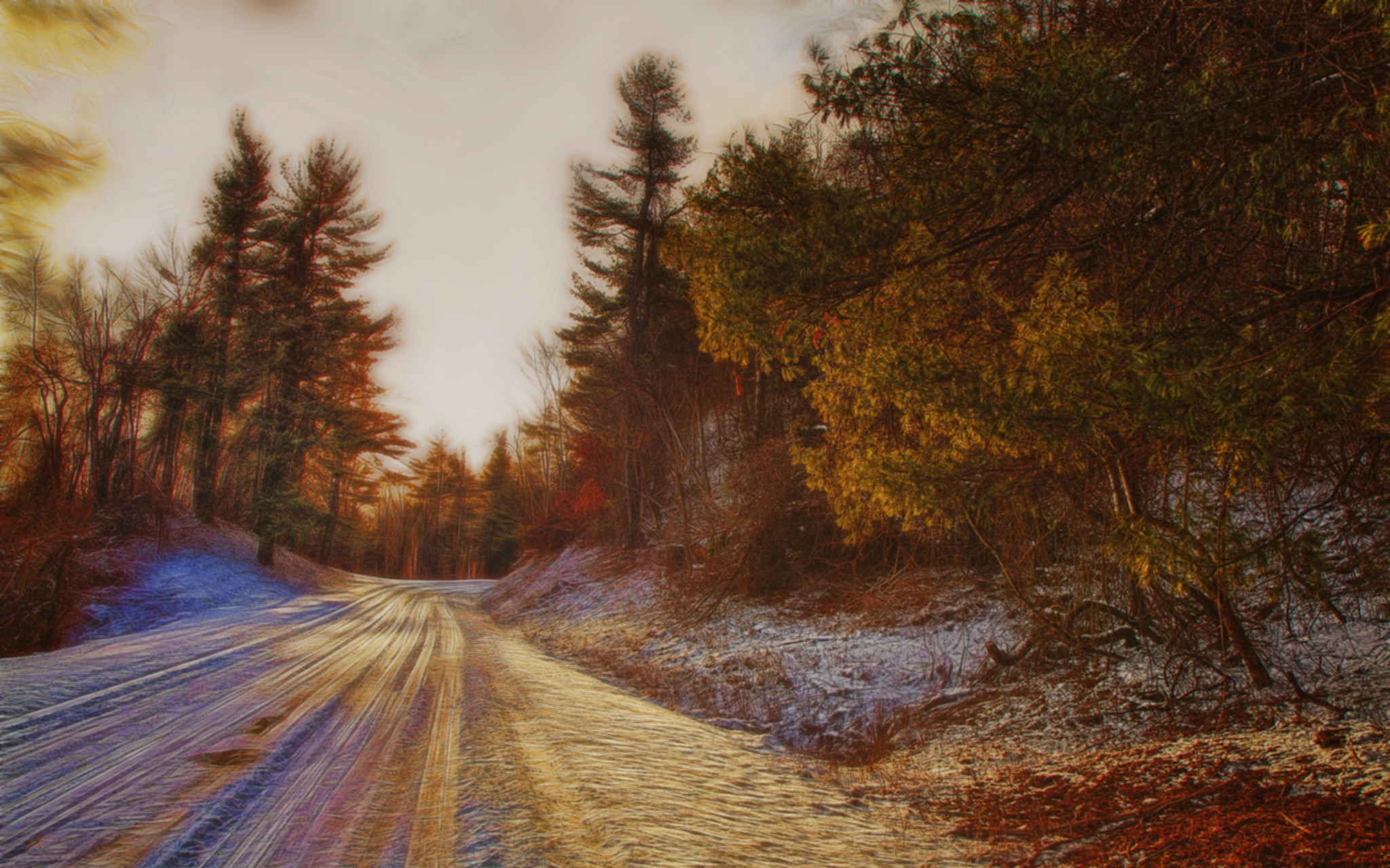 Image: A highly saturated photo of a road bending through a pine forest in winter