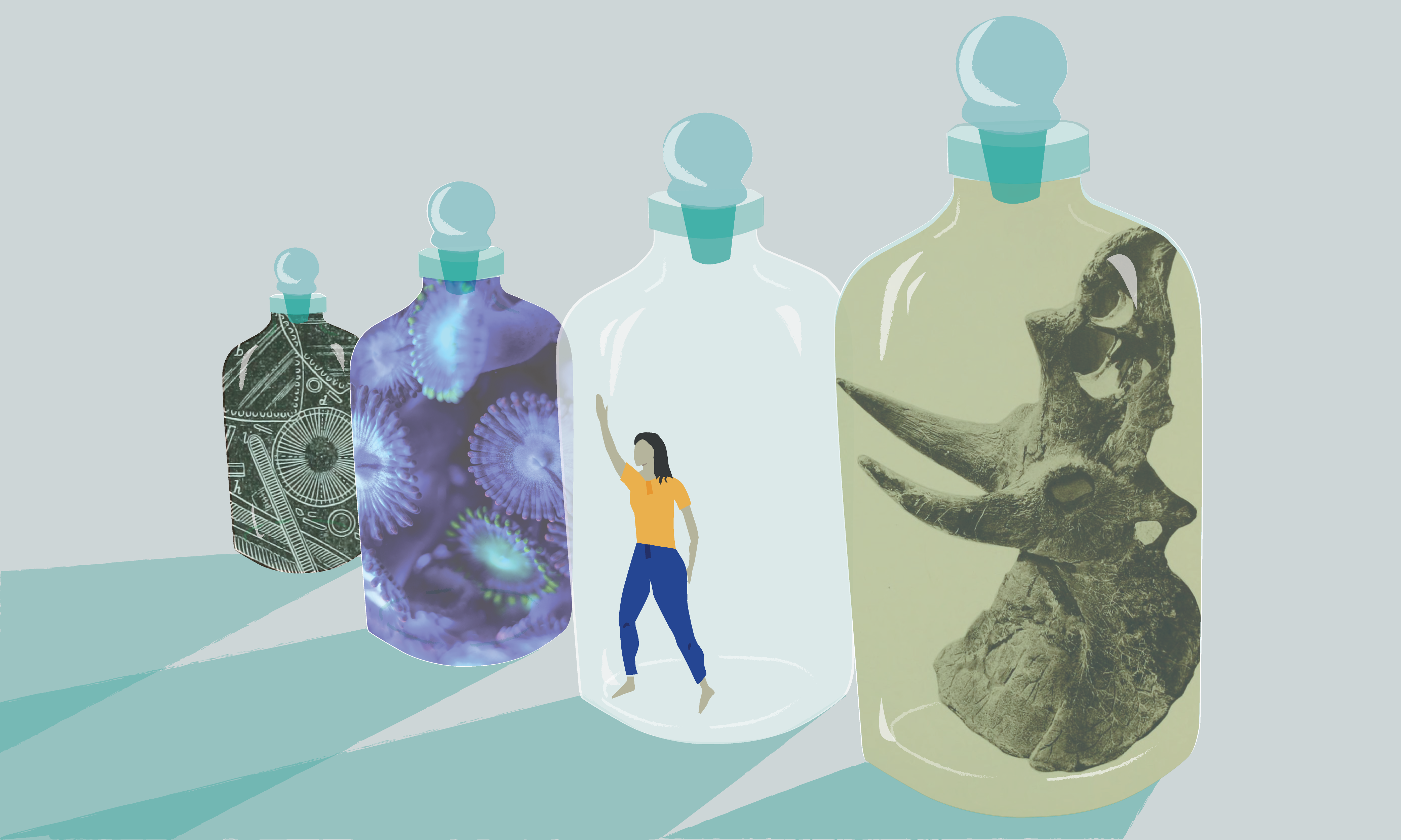 Collage style image of a row of bottles. The closest contains a dinosaur skull. The next contains a woman pushing against the walls, the next corals, the last diatoms