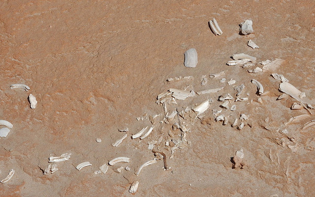 Image: Shattered porcelain on dirty, red cement