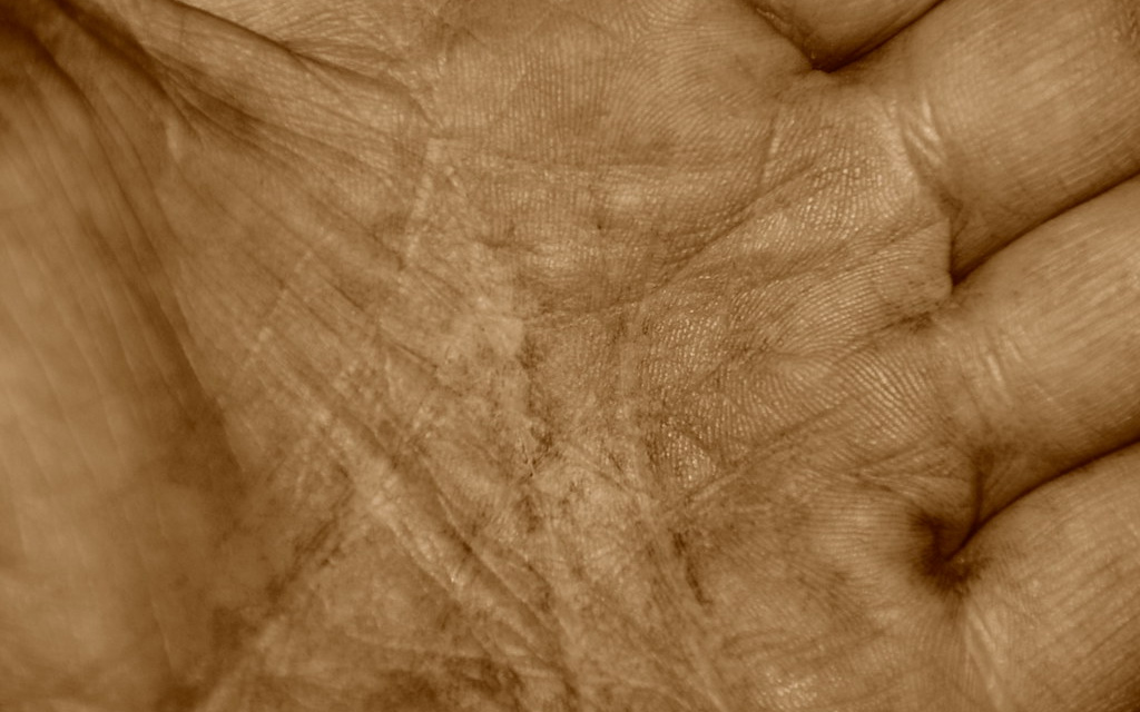 Image: Close up photo of palm with a sepia filter titled "Palmed" provided by Jim Handcock is licensed under CC BY-ND 2.0