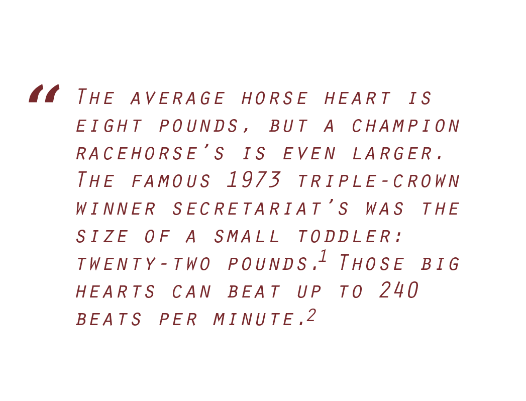 Pictured: a fact about horse hearts